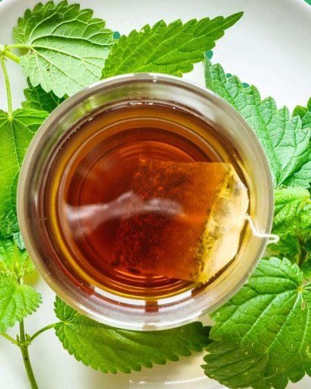 Le thé aux orties est un remède à base de plantes séculaire - voici ses 4 principaux avantages pour la santé (et comment le préparer à la maison) 99 Le thé aux orties est un remède à base de plantes séculaire - voici ses 4 principaux avantages pour la santé (et comment le préparer à la maison) - 98