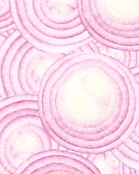 Les oignons sont extrêmement bons pour vous - Voici 3 avantages sains pour le prouver 55 Les oignons sont extrêmement bons pour vous - Voici 3 avantages sains pour le prouver - 54