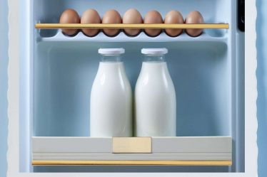 Voici comment connaître la bonne température pour votre réfrigérateur (parce que le vôtre est probablement mal réglé) - 10