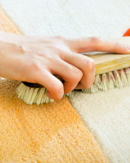 Les meilleurs nettoyants pour tapis faits maison pour enlever les taches de tous les types de tapis 94 Les meilleurs nettoyants pour tapis faits maison pour enlever les taches de tous les types de tapis - 93