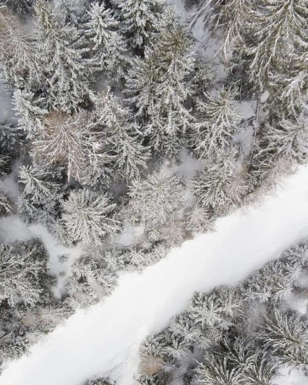 Les pneus neige sont-ils un investissement rentable ? 37 Les pneus neige sont-ils un investissement rentable ? - 36