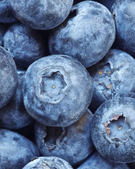 Top 10 des superaliments de 2022, selon plus de 1 100 diététistes professionnels 137 Top 10 des superaliments de 2022, selon plus de 1 100 diététistes professionnels - 136