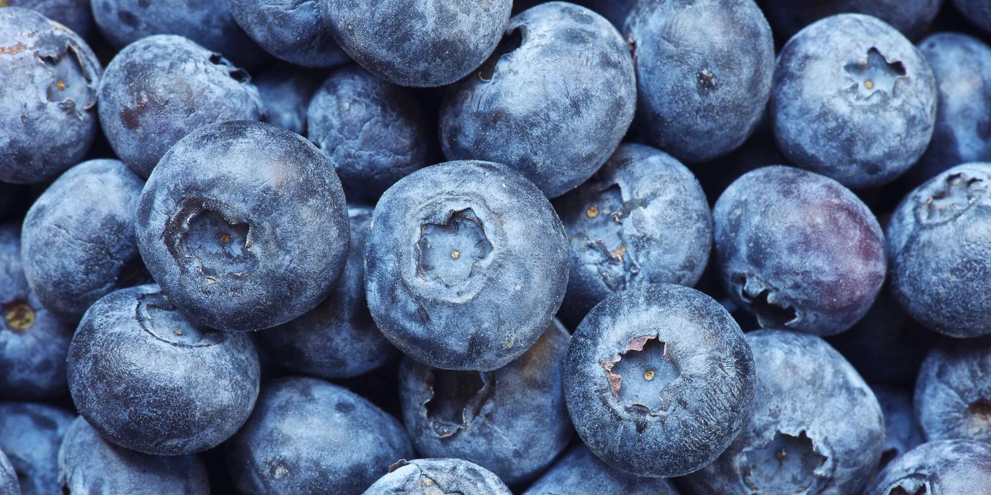 Top 10 des superaliments de 2022, selon plus de 1 100 diététistes professionnels 2 Top 10 des superaliments de 2022, selon plus de 1 100 diététistes professionnels - 1