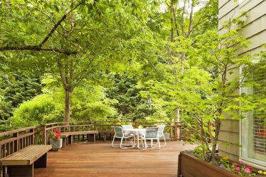 Oui, les arbres peuvent augmenter la valeur de votre propriété - Voici 10 variétés à considérer - 6