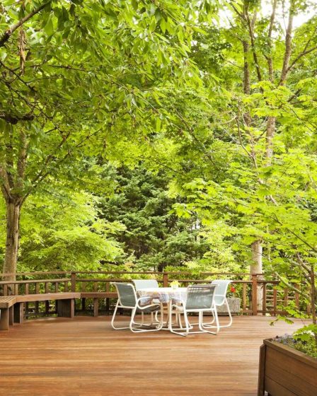 Oui, les arbres peuvent augmenter la valeur de votre propriété - Voici 10 variétés à considérer 84 Oui, les arbres peuvent augmenter la valeur de votre propriété - Voici 10 variétés à considérer - 83