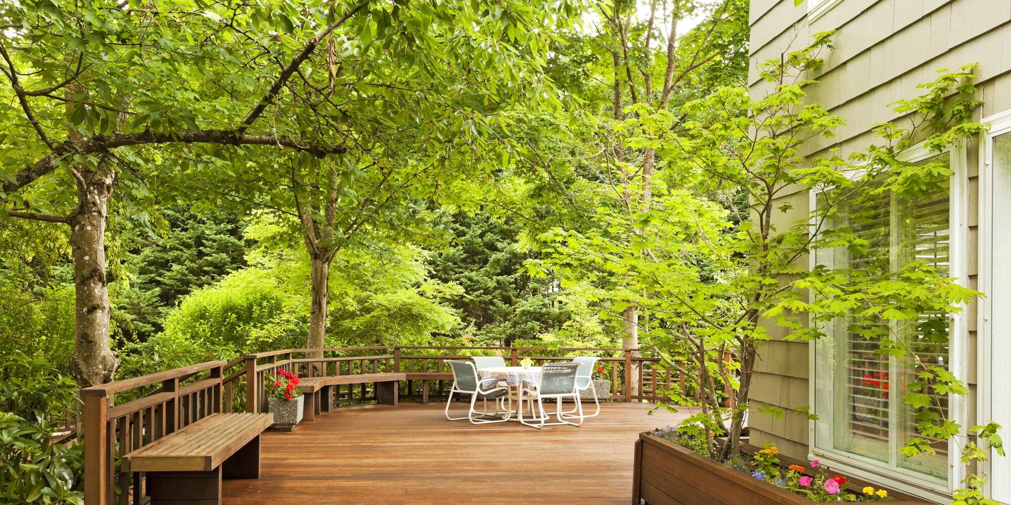 Oui, les arbres peuvent augmenter la valeur de votre propriété - Voici 10 variétés à considérer 2 Oui, les arbres peuvent augmenter la valeur de votre propriété - Voici 10 variétés à considérer - 1
