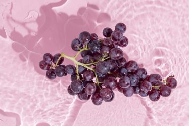 7 avantages impressionnants du resvératrol, l'antioxydant sain présent dans le vin rouge - 8
