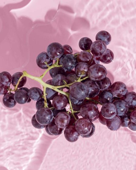 7 avantages impressionnants du resvératrol, l'antioxydant sain présent dans le vin rouge 35 7 avantages impressionnants du resvératrol, l'antioxydant sain présent dans le vin rouge - 34