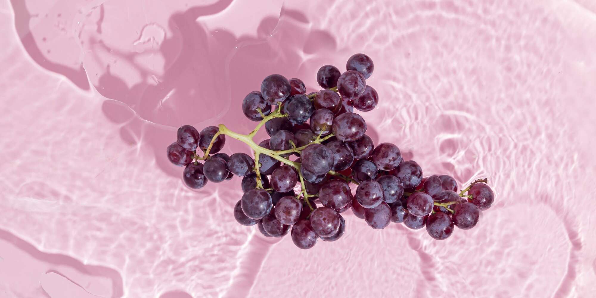 7 avantages impressionnants du resvératrol, l'antioxydant sain présent dans le vin rouge 2 7 avantages impressionnants du resvératrol, l'antioxydant sain présent dans le vin rouge - 1