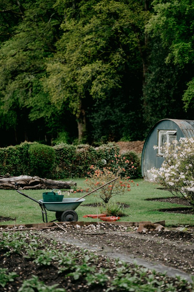 À quelle fréquence devez-vous nettoyer votre jardin en profondeur ? 3 Stimulez vos sens de jardinage cet été