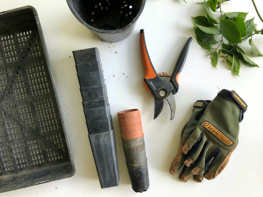 À quelle fréquence devez-vous nettoyer votre jardin en profondeur ? 4 Outils de jardinage