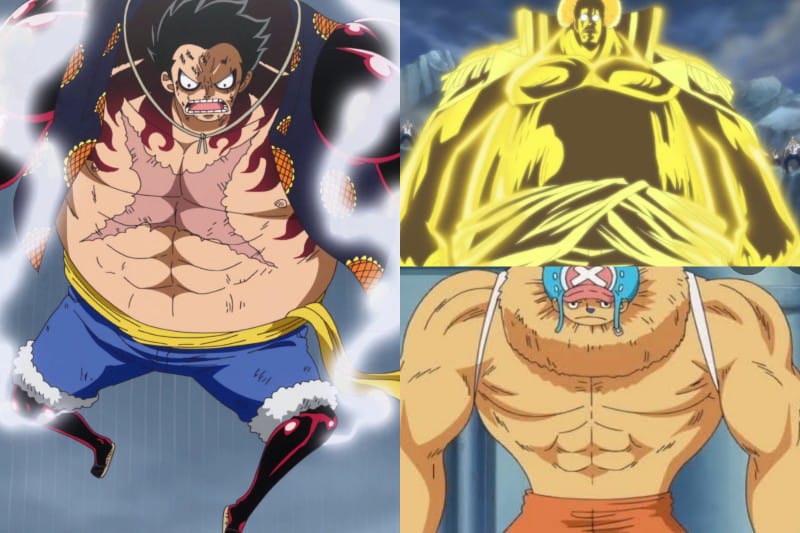 (One Piece) Luffy Gear 5 - Le pouvoir et les capacités d'éveil expliqués 4 Transformation de Luffy Gear 5