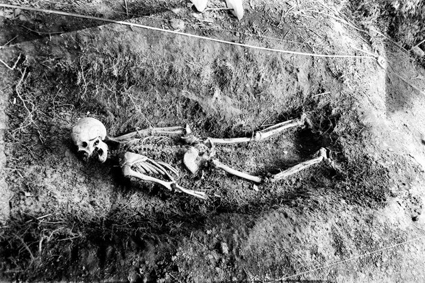 Down on the body farm: L'installation médico-légale horrible mais vitale arrive au Royaume-Uni 6 Down on the body farm: L'installation médico-légale horrible mais vitale arrive au Royaume-Uni - 5