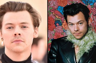 Harry Styles critiqué pour ne pas être assez "macho" - 9