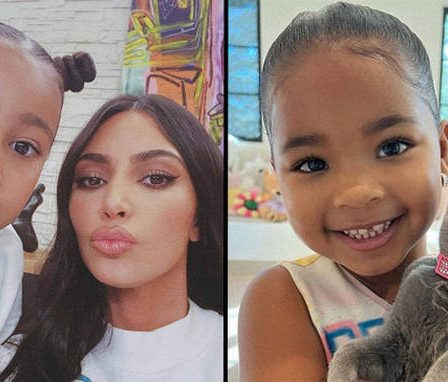 La fille de Kim Kardashian, North West, avertit son cousin True Thompson qu'être quatre "craint" 44 La fille de Kim Kardashian, North West, avertit son cousin True Thompson qu'être quatre "craint" - 43