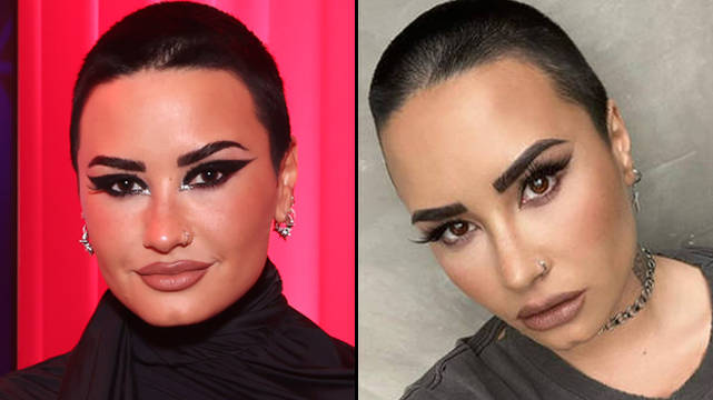 Demi Lovato a mis à jour ses pronoms en ils/elles/elle/elle 2 Demi Lovato a mis à jour ses pronoms en ils/elles/elle/elle - 1