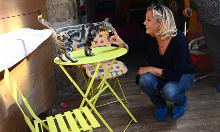 De l'amoureux des chats Le Pen au carton rouge de l'extrême droite : les élections françaises en cinq instants | France 1 Marine Le Pen se lie d'amitié avec un chat lors d'une visite dans un refuge en 2020