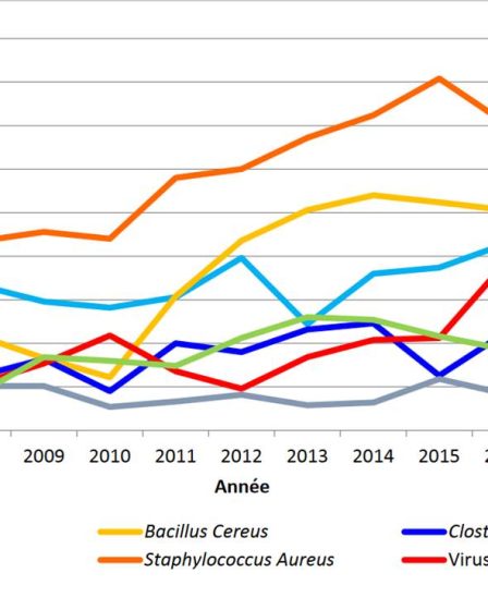 Que sont les salmonelles ? – Sciences et Avenir › Actualités Geek - 1
