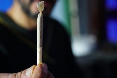 The babies exposed to cannabis pendant la grossesse pourraient être exposed à l’obésité – Bénin Actu › Geeky News - 8