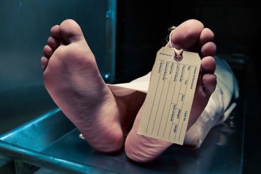 Que devient un corps après la mort ? - 6