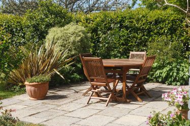 9 meilleures plantes pour un jardin plus privé - 6