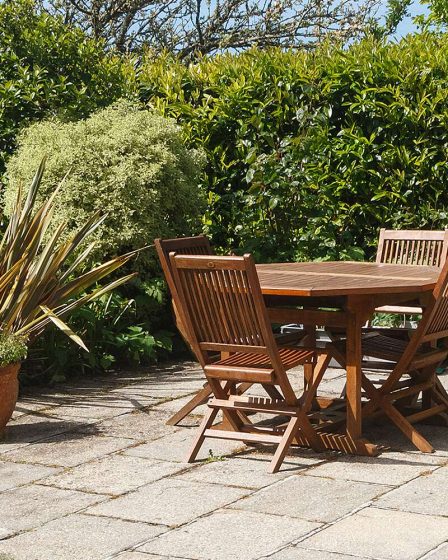 9 meilleures plantes pour un jardin plus privé 45 9 meilleures plantes pour un jardin plus privé - 44