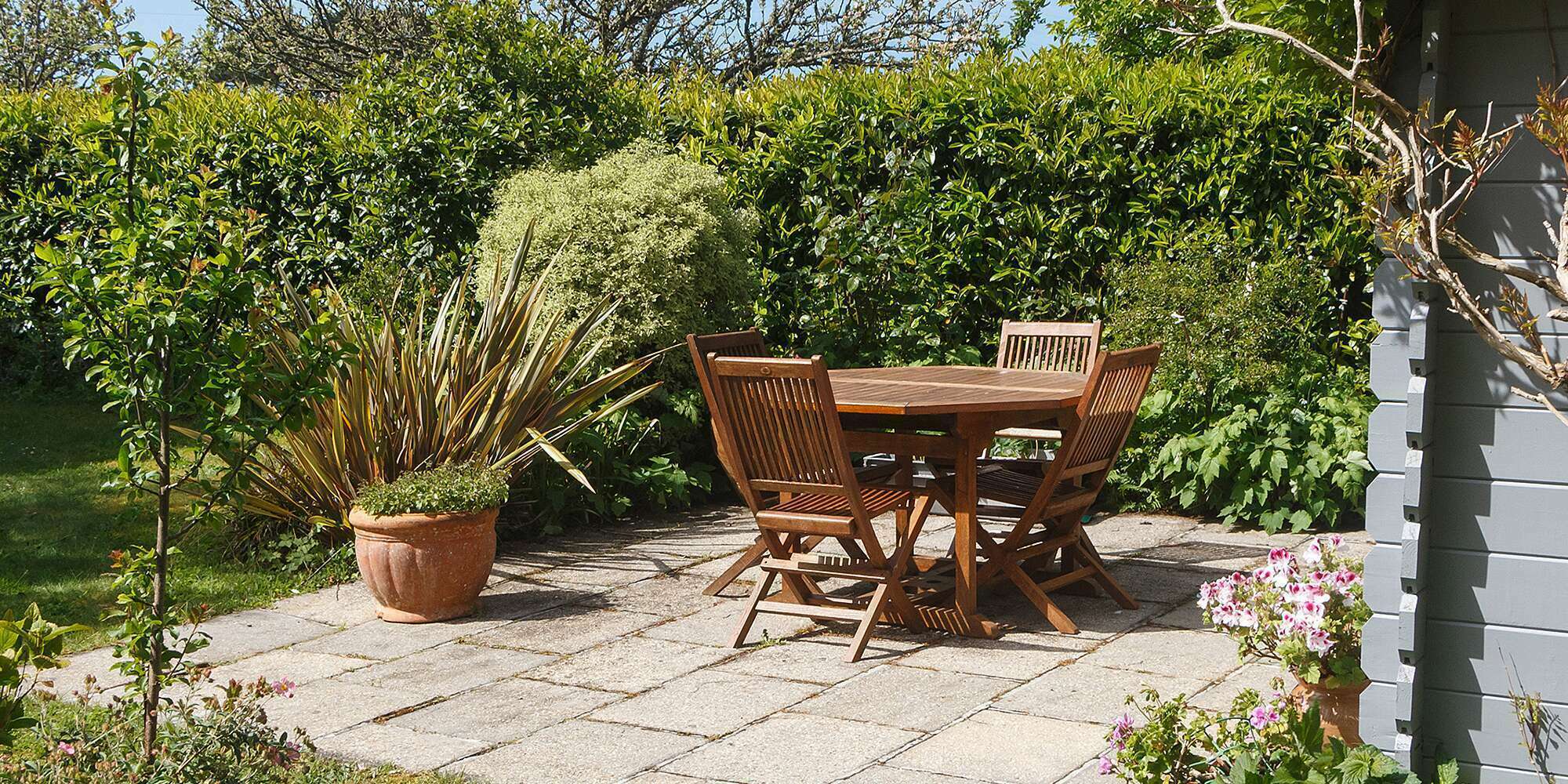 9 meilleures plantes pour un jardin plus privé - 1