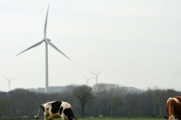 innover pour décarboner – Sciences et Avenir › Geeky News - 5