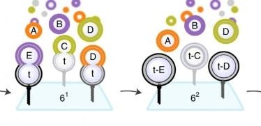 nanotechnology in DNA accélère d’a million fois le développement de vaccins › Geeky News - 5