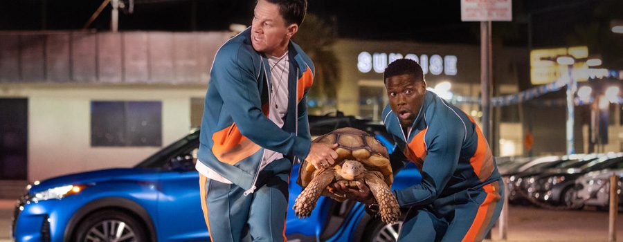 Netflix Originals arrive sur Netflix en août 2022 8 moi temps netflix août 2022