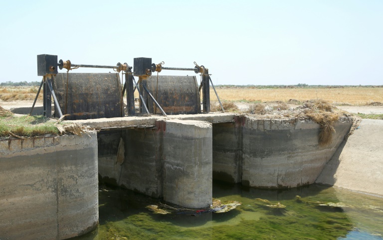 De l'eau stagnante dans le principal canal d'irrigation de Tarim, en Irak, le 26 avril 2022 (AFP - Haidar INDHAR)