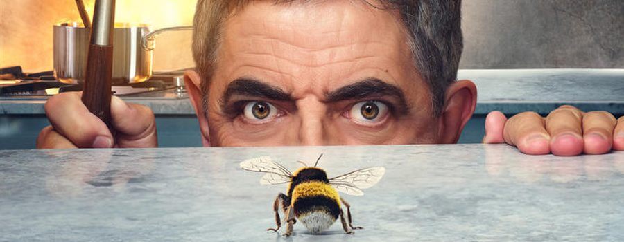 homme contre abeille netflix juin 2022