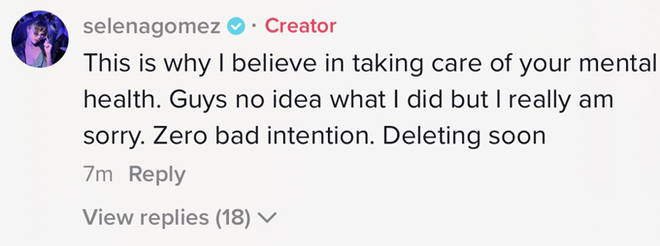 Selena Gomez s'excuse après que les fans de Hailey Bieber l'ont accusée d'être "louche" sur TikTok 4 Commentaire de Selena Gomez sur TikTok