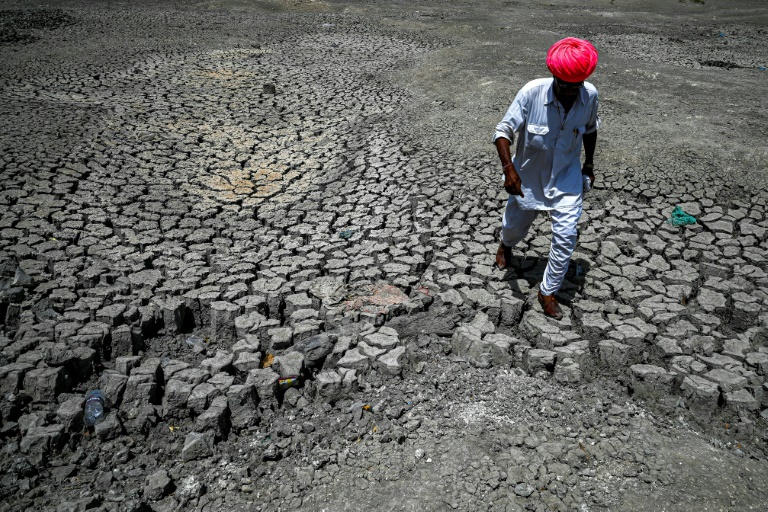Shivaram marche sur la surface fissurée d'un étang asséché dans le village de Bandai près de Pali en Inde le 11 mai 2022 (AFP - Prakash SINGH)
