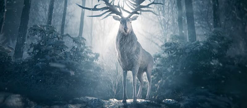 Shadow and Bone Saison 2 : Tout ce que l'on sait jusqu'à présent 5 ombre et os netflix original avril 2021