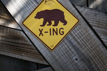 Selloff met Dow, S&P 500 à l'aube d'un marché baissier. L'histoire dit que plus de douleur peut être à venir. - 7