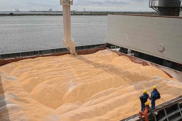 La Russie promet d'ouvrir les ports de la mer Noire aux navires étrangers alors que la crise alimentaire mondiale s'aggrave - 5