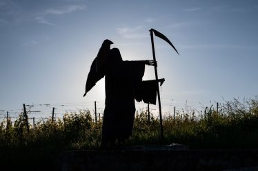 Pourquoi la "croix de la mort" de Tesla ne devrait pas effrayer les investisseurs - 5