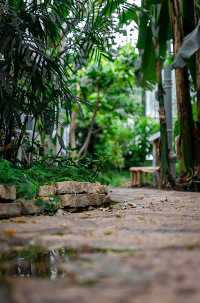 Comment s'assurer que votre jardin est bien présenté toute l'année