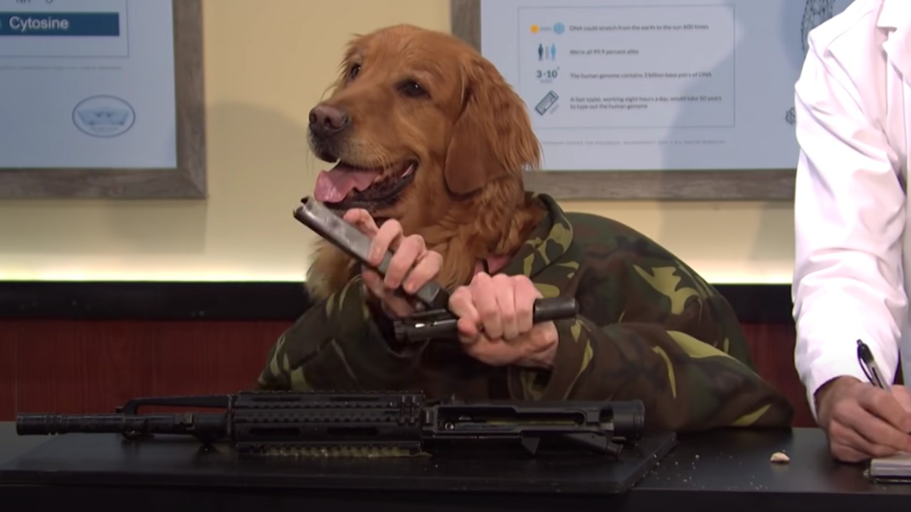 Dog Head Man sur Saturday Night Live