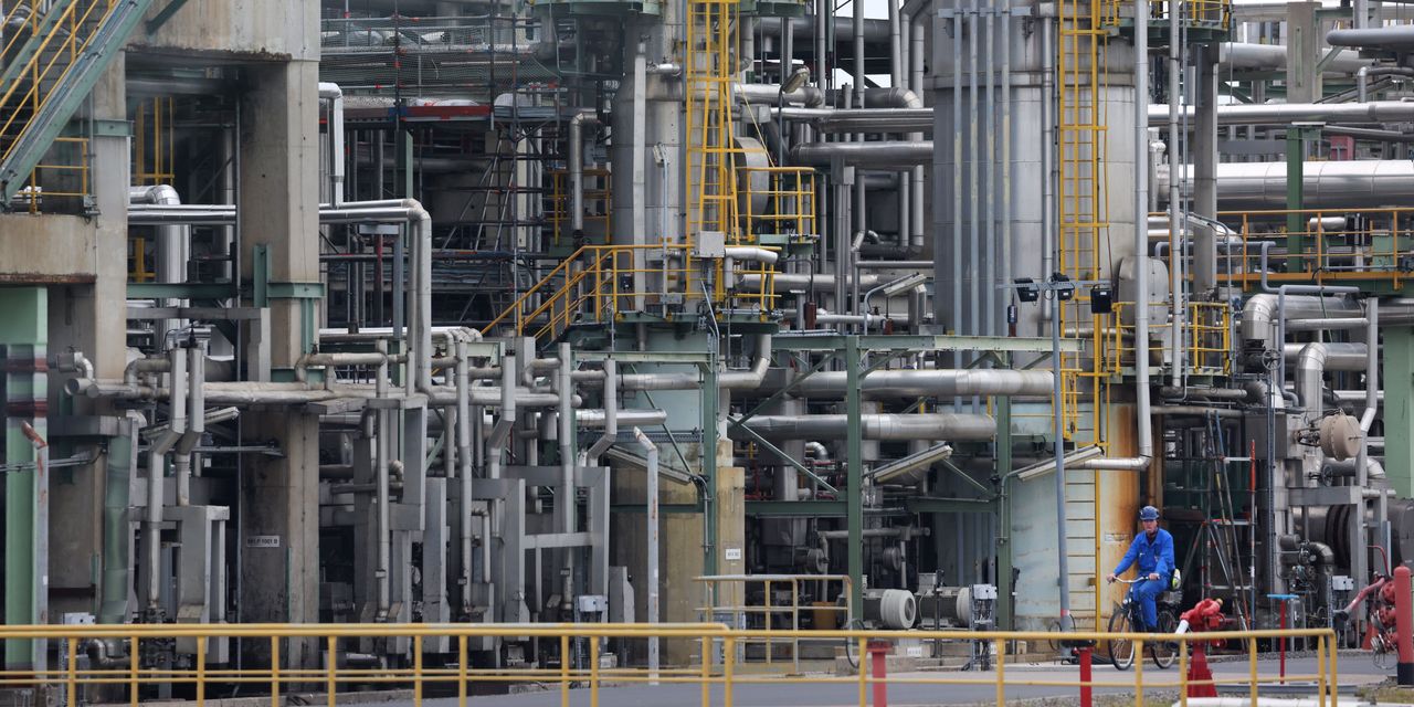 L'inflation allemande au plus haut depuis près de 50 ans 2 L'inflation allemande au plus haut depuis près de 50 ans - 1