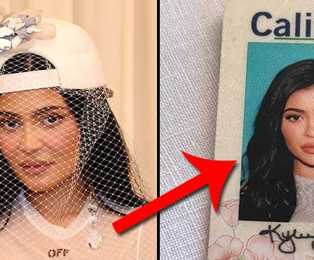 Les fans de Kylie Jenner perdent la tête avec sa photo de permis de conduire "parfaite" 15 Les fans de Kylie Jenner perdent la tête avec sa photo de permis de conduire "parfaite" - 14