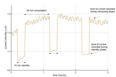 Des algues pour un approvisionnement durable et respectueux de l'environnement de nos équipements électroniques › Geeky News - 5