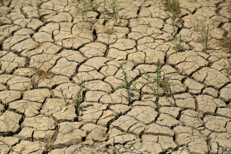 Entre sécheresse et guerre en Ukraine, l'Irak craint pour son blé – Science et Avenir › Geeky News 2 Entre sécheresse et guerre en Ukraine, l'Irak craint pour son blé – Science et Avenir › Geeky News - 1