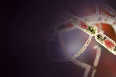 La fonte du pergélisol libérera-t-elle d'anciens virus et bactéries ? - 7