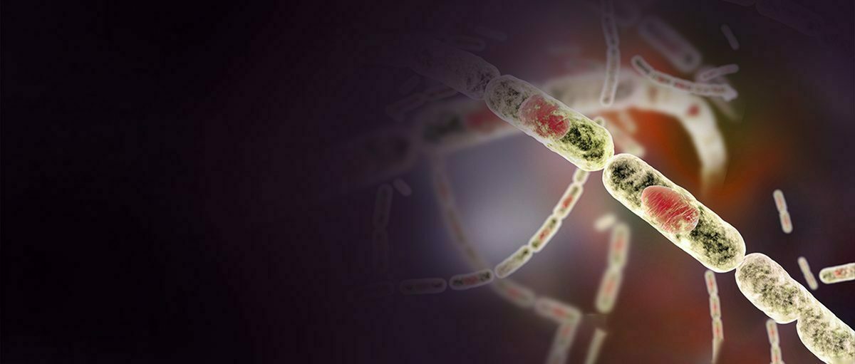 La fonte du pergélisol libérera-t-elle d'anciens virus et bactéries ? 2 La fonte du pergélisol libérera-t-elle d'anciens virus et bactéries ? - 1