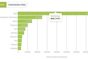 La déforestation en Amazonie brésilienne atteint un niveau record › Geeky News - 3