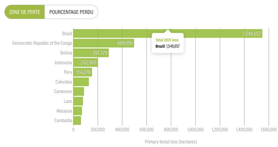 La déforestation en Amazonie brésilienne atteint un niveau record › Geeky News 2 La déforestation en Amazonie brésilienne atteint un niveau record › Geeky News - 1