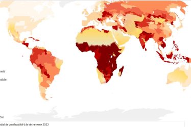 Les États s'engagent à réhabiliter un milliard d'hectares de terres – Sciences et Avenir › Geeky News - 9