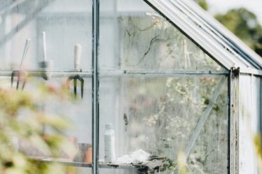 Un expert en jardinage révèle comment faire pousser parfaitement vos propres légumes cet été - 10